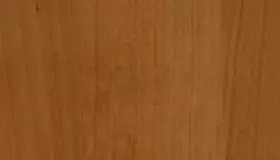 Образец № 31