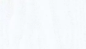 Образец № 58